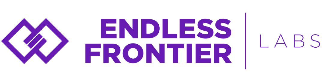 NYU Stern Endless Frontier Labs